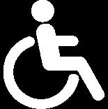 Inamovilidad por discapacidad 53%