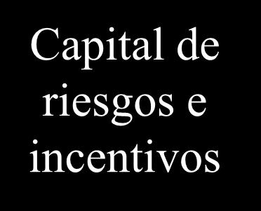 negocios Capital de