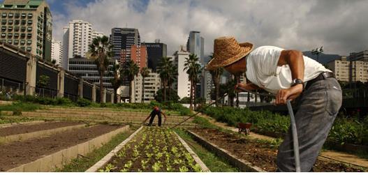 Marco Normativo para la Agricultura Urbana y Periurbana (AUP) en América Latina y el Caribe Los Gobiernos locales, son responsables de la agricultura urbana y periurbana en Bolivia, Colombia, el