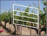 Superficie de suelo en viña no siempre es la mejor opción Volumen de vegetación Deposición (μg/cm 2 ) 7 6 5 4 3 2 1 Superficie de