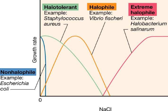 Halófilos: microorganismos que viven en altas concentraciones de sal Osmófilos: microorganismos