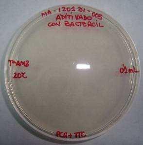 Cómo funciona el tequil bacteroil?