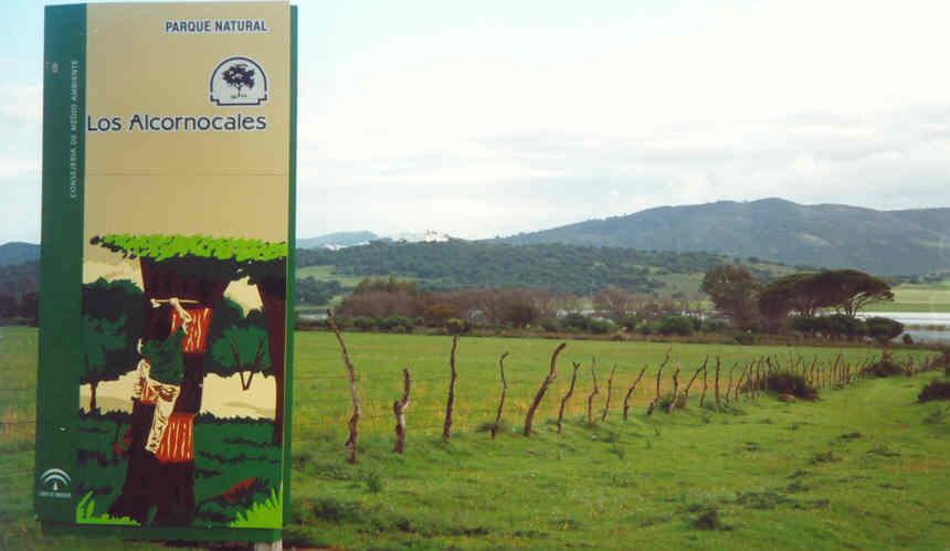 Espacios Naturales Protegidos. 1985 a act. Espacios Naturales Protegidos y Red Natura-2000.