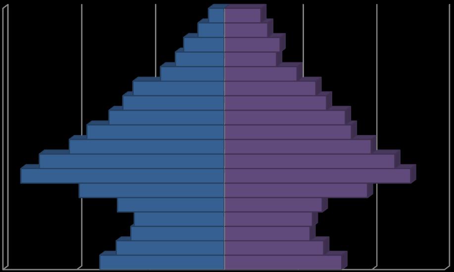 Datos demográficos Imagen 5 Pirámide población de Rubí.