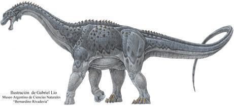 Diario ABC Color 16 de Octubre del 2007 Descubren uno de los dinosaurios más grandes del mundo Paleontólogos argentinos y brasileros descubrieron en la Patagonia argentina fósiles de uno de los