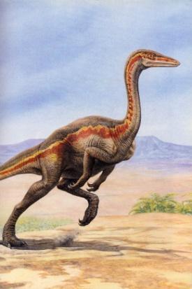 Cómo buscan su alimento los distintos dinosaurios? La actividad más importante de los dinosaurios era buscar comida, criar a sus hijos y defenderse de sus depredadores.