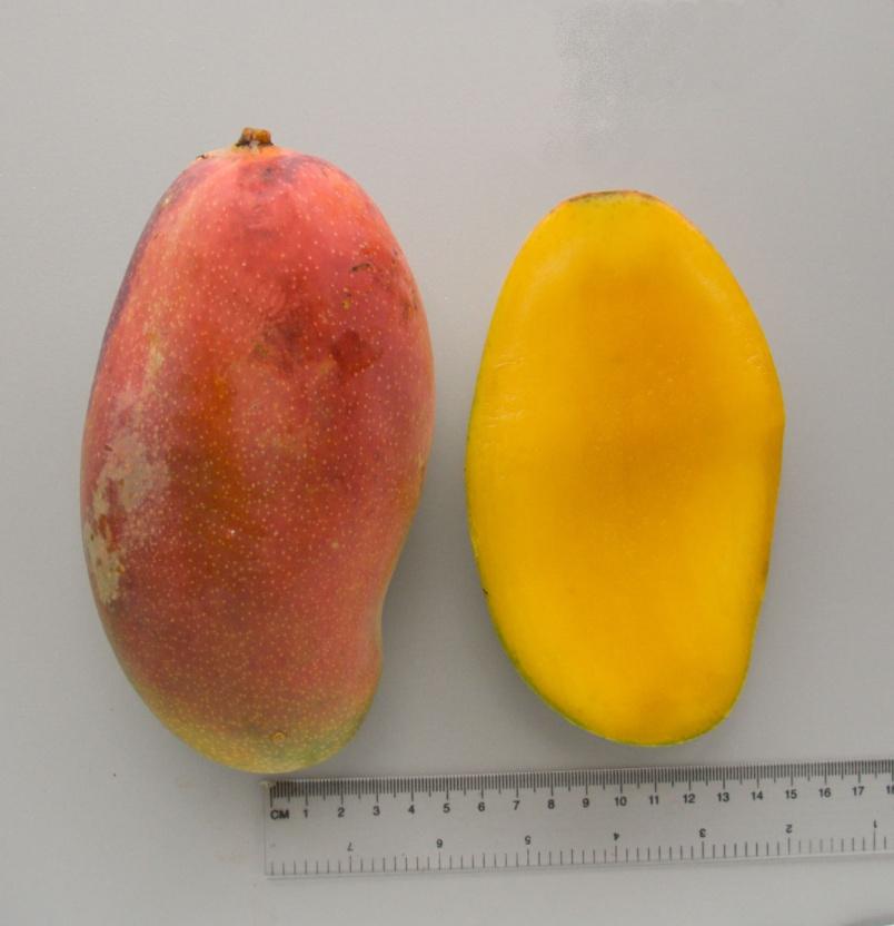 alor Nutricional del mango vitaminas A (caroteno) y C