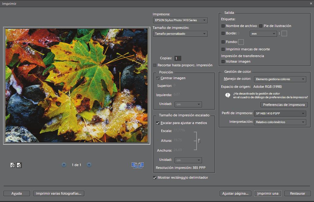 7. Seleccione EPSON Stylus Photo 1410 Series en la lista Impresora, si es necesario. 8. Seleccione Elements gestiona colores como el ajuste Gestión de color. 9.