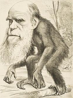 Teoria de Darwin El món NO és estàtic El canvi és gradual i continu Els organismes semblants
