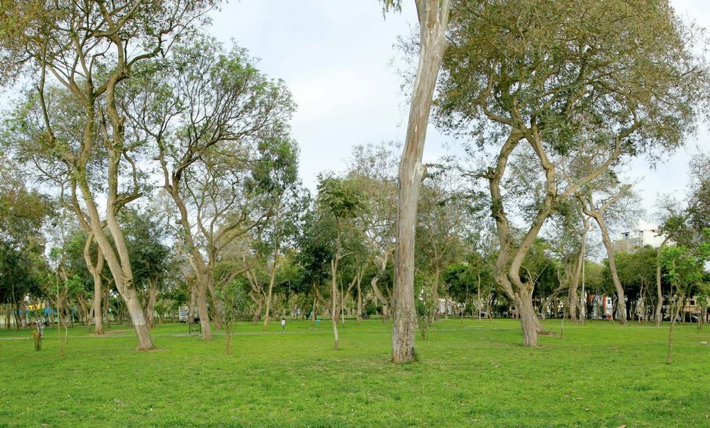 Parque Mariscal Ramón Castilla, considerado uno de los