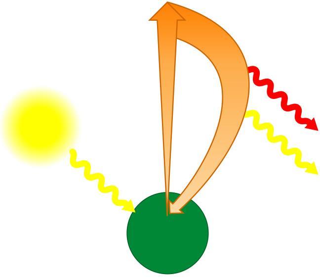 Excitación de la clorofila Luz e Estado excitado 2 Calor Fluorescencia La pérdida de energía debido al calor