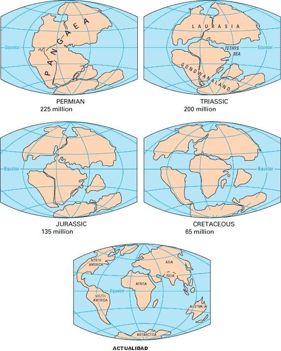 La evolución de los continentes (durante millones de años) hasta hoy. La teoría de las Placas Tectónicas.