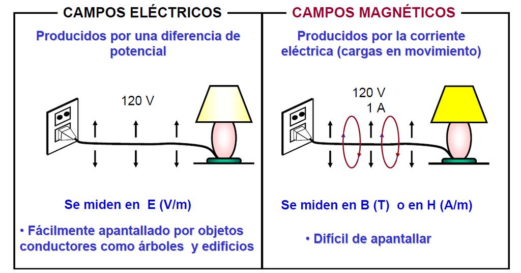 Los Campos Electromagnéticos Campos