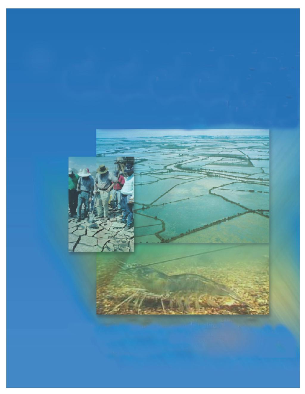 Buenas Prácticas de Manejo para el Cultivo de Camarón Manejo Integral Costero en el Golfo de California: Hacia el Corredor de Humedales Costeros del Golfo de California Presentación al Taller de