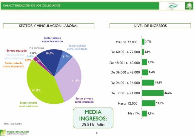 El nivel medio de ingresos de los veterinarios colegiados de Madrid es de 25.516 euros anuales Informe profesional de más de 15 años (40,9%) y los que llevan entre 6 y 15 años (40,6%).