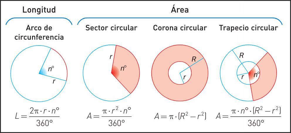 El sector circular: es una superficie del círculo comprendida entre dos radios y el arco que va entre ellos.