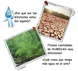 Además, la humedad es diferente en partes de la Tierra que tienen climas diferentes. El aire seco en un desierto tiene menos humedad que el aire pegajoso y húmedo del bosque de lluvia tropical.