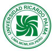 UNIVERSIDAD RICARDO PALMA FACULTAD DE INGENIERÍA I. INFORMACIÓN GENERAL: DEPARTAMENTO ACADÉMICO DE INGENIERÍA PLAN DE ESTUDIOS 2008-II SÍLABO 1.