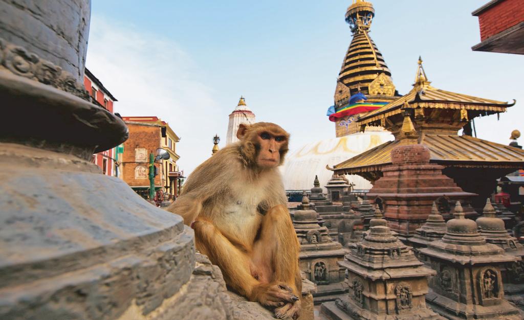 DÍA 16 KATHMANDU Desayuno. Por la mañana, visita de Bhaktapur, la ciudad de los devotos donde podrá recorrer los estrechos callejones contemplando los antiguos templos y casas del lugar.