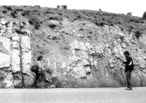 Los yacimientos paleontológicos del Jurásico en el valle del Jiloca 1 Lámina 2. Fig.