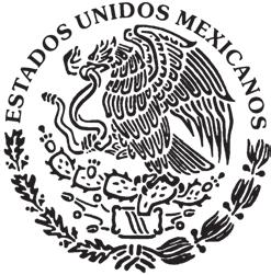 Procedimientos de Auditoría para las Dependencias y Entidades del Poder Ejecutivo del Estado de Guanajuato.