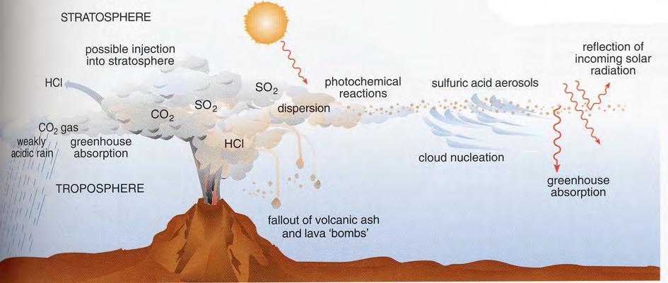 Efectos del volcanismo La acción del dióxido de Azufre y otros gases producen la lluvia ácida El aumento de polvo en suspensión produce la reflexión de parte de la luz solar: -