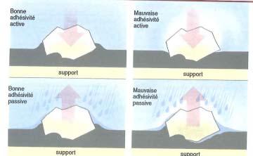 adhesividad activa Mala cohesión Soporte Mala adhesividad ligante/soporte Soporte