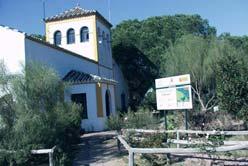 Almonte, Huelva Teléfono: 959 44 340 Sendero Charco de la Boca El último tramo del Arroyo La