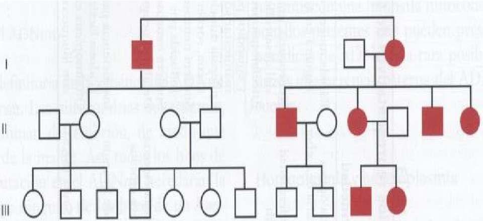 Árbol genealógico de familias con la enfermedad de Leber.