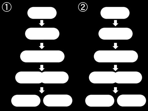 Horquillas de replicación Replicación del N- Forma de burbuja El código de N en la burbuja es la cadena molde y nuevas hebras se forman usando ambas hebras del molde.
