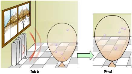33. La figura muestra el efecto que tiene un globo inflado con aire a temperatura ambiente, y el resultado que se obtiene cuando es calentado: El globo se infla porque: A.