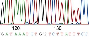 Nivel génico Panel mutaciones NO! Gen único (Secuenciación sanger) Cuando el diagnóstico clínico es claro ej.