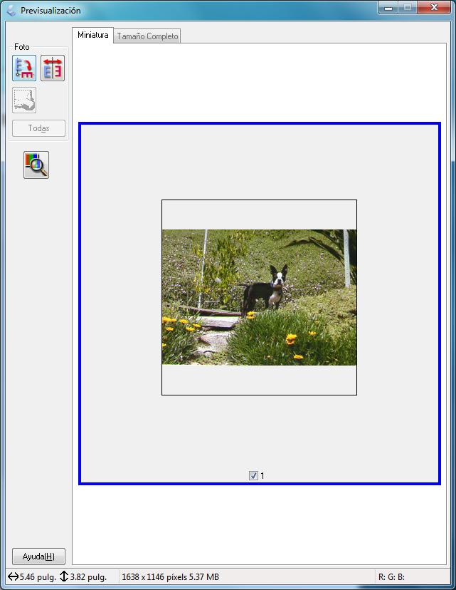 La previsualización normal muestra las imágenes previsualizadas enteras para que pueda seleccionar el área de la imagen escaneada y otros ajustes manualmente.