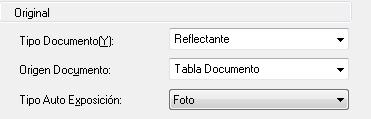 Cómo seleccionar el tipo de documento o imagen 1. Seleccione el tipo de original básico que va a escanear en el menú desplegable Tipo Documento. Seleccione Reflectante para documentos o fotos. 2.