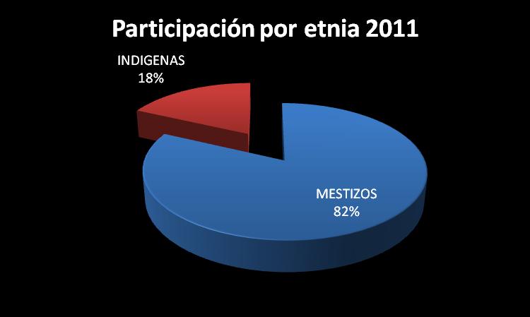 Aún el bajo porcentaje de participación indígena en estos procesos es un reto, a fin de