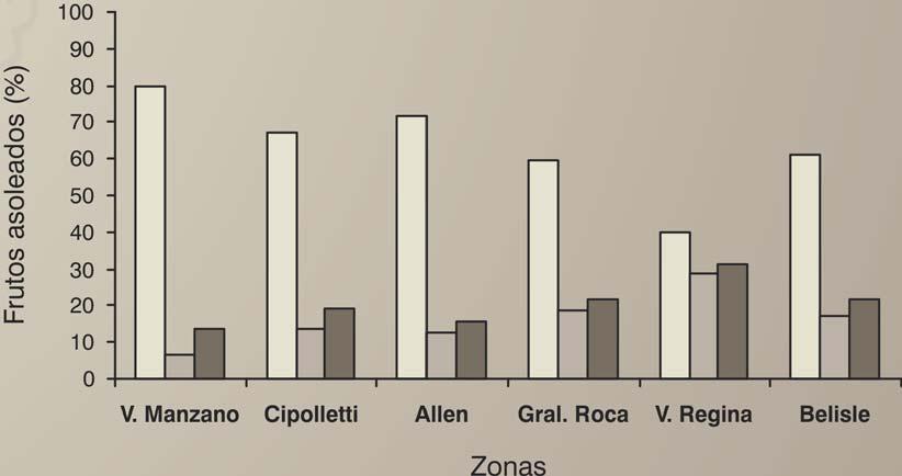 Como se observa en la Figura 1 el análisis de incidencia de asoleado por zonas dentro de la región del Alto Valle reveló que las explotaciones de las áreas cercanas a Villa Regina fueron las más