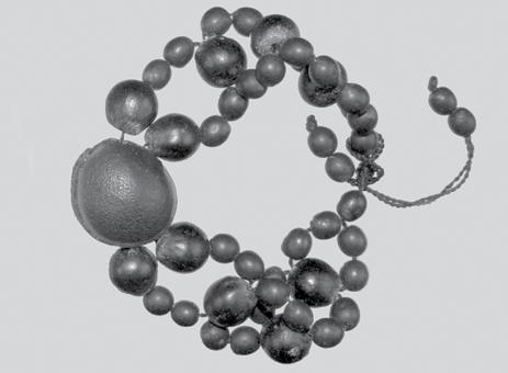 den entre 8 a 13 x 6 a 9 mm, son duros pudiendo ser blancos, grises o casi negros y brillantes y se utilizan para confeccionar aretes, collares, brazaletes y rosarios.