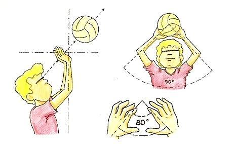 Pase colocación. Es el elemento técnico más básico del voleibol. La trayectoria de la pelota después del toque puede ser frontal, lateral y hacia atrás, pero siempre será alta y muy precisa.
