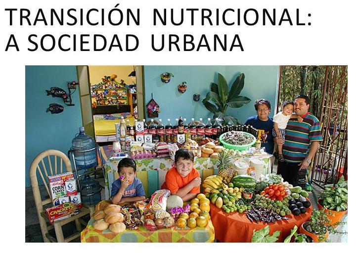 Tercer factor determinante de la demanda Cambio de hábitos de consumo Transición nutricional: Cambios en el perfil nutricional de las poblaciones