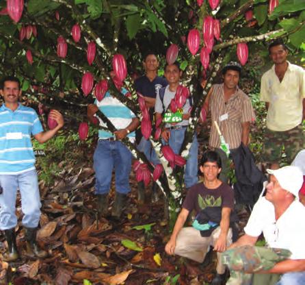 Manual para Productores Orgánicos Introducción Este Manual, compuesto por tres libros, es una propuesta de tecnología para la producción orgánica de cacao de la región de Talamanca, Costa Rica.