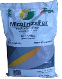 Provisión de insumos Biofertilizantes, bacterias fijadoras de nitrógeno, o solubilizadoras de nutrientes Micorrizas, Se