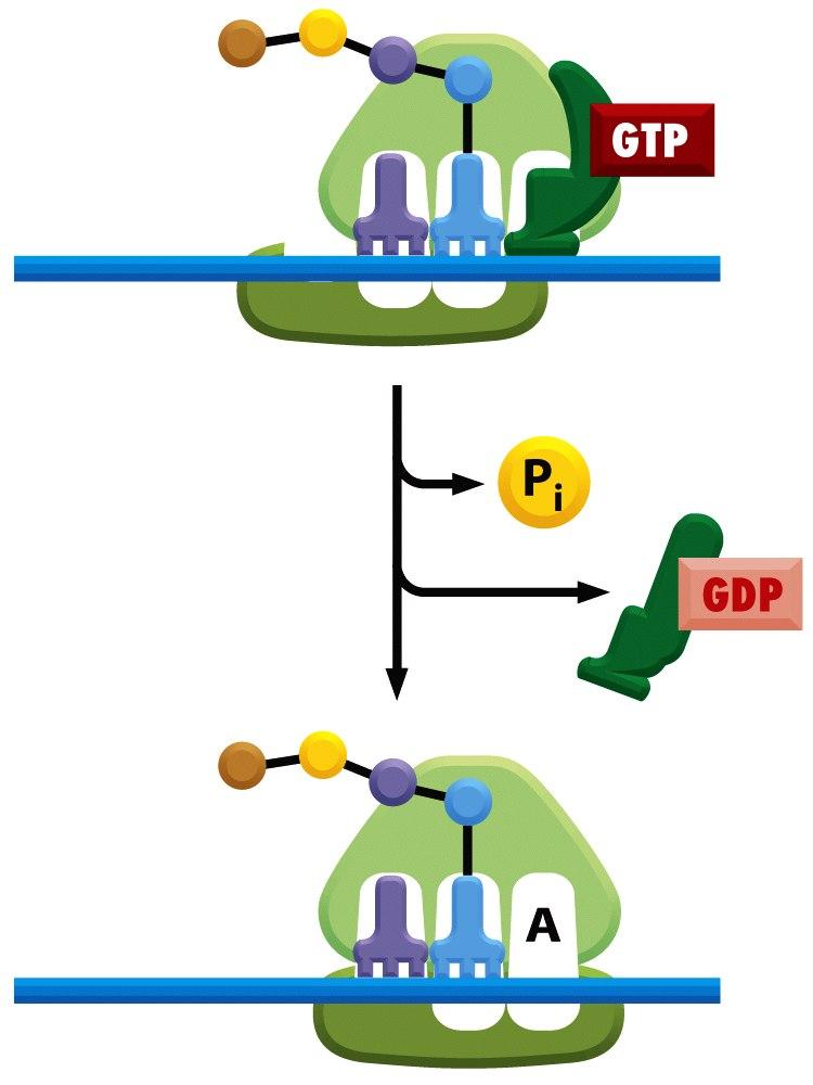 Figure 6-67 (part 7 of 7) Molecular
