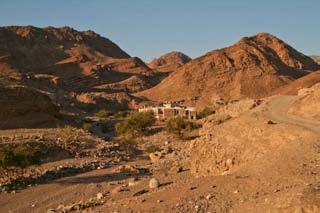 Recorrido en camellos durante 6hrs por el desierto de Wadi Rum (posibilidad de hacerlo a pie).