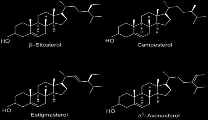 Esteroles en Aceite de oliva Tipos de esteroles: esteroles comunes (4 α
