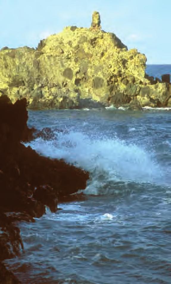 Las costas rocosas En la costa veracruzana, la irrupción de los macizos volcánicos del eje neovolcánico transversal que cruza el país, así como los producidos por la cercanía del conjunto volcánico