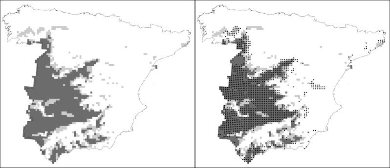 A. GASTÓN GONZÁLEZ «Aplicación de los Sistemas de Información Geográfica a estudios florísticos y corológicos» Figura 4.