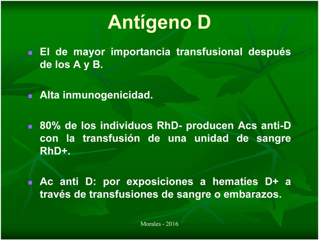 Antígeno D El de mayor importancia transfusional después de los A y B. Alta inmunogenicidad.