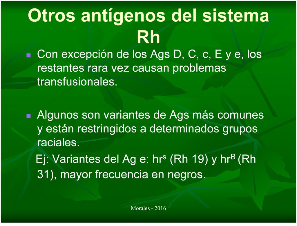 Otros antígenos del sistema Rh Con excepción de los Ags D, C, c, E y e, los restantes rara vez causan problemas transfusionales.