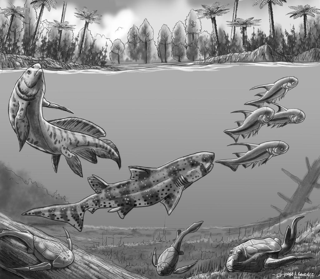 Fósiles del Paleozoico El registro más antiguo de vertebrados de Venezuela posiblemente consiste en dientes de peces indeterminados que vivían en aguas someras marinas o salobres.