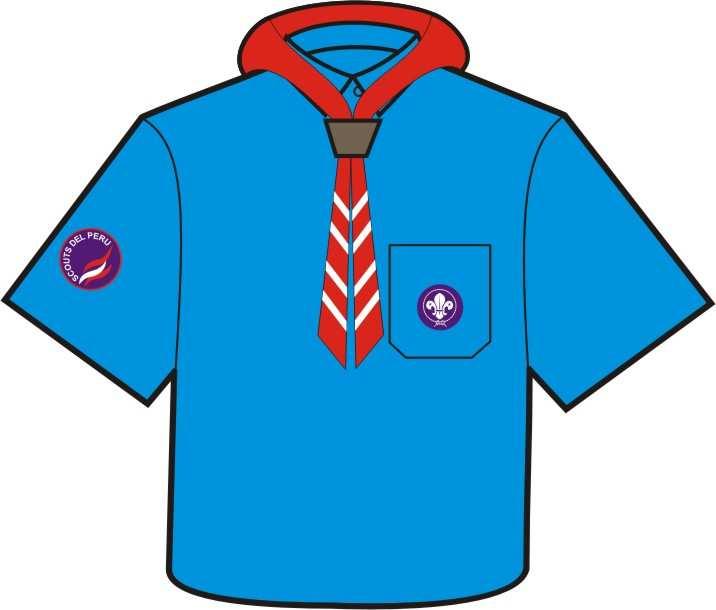 Polo tipo box con cuello, del mismo color que la camisa, con un solo bolsillo superpuesto al lado izquierdo del pecho con la insignia scout mundial.